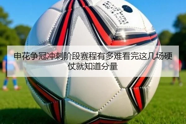 申花争冠冲刺阶段赛程有多难看完这几场硬仗就知道分量